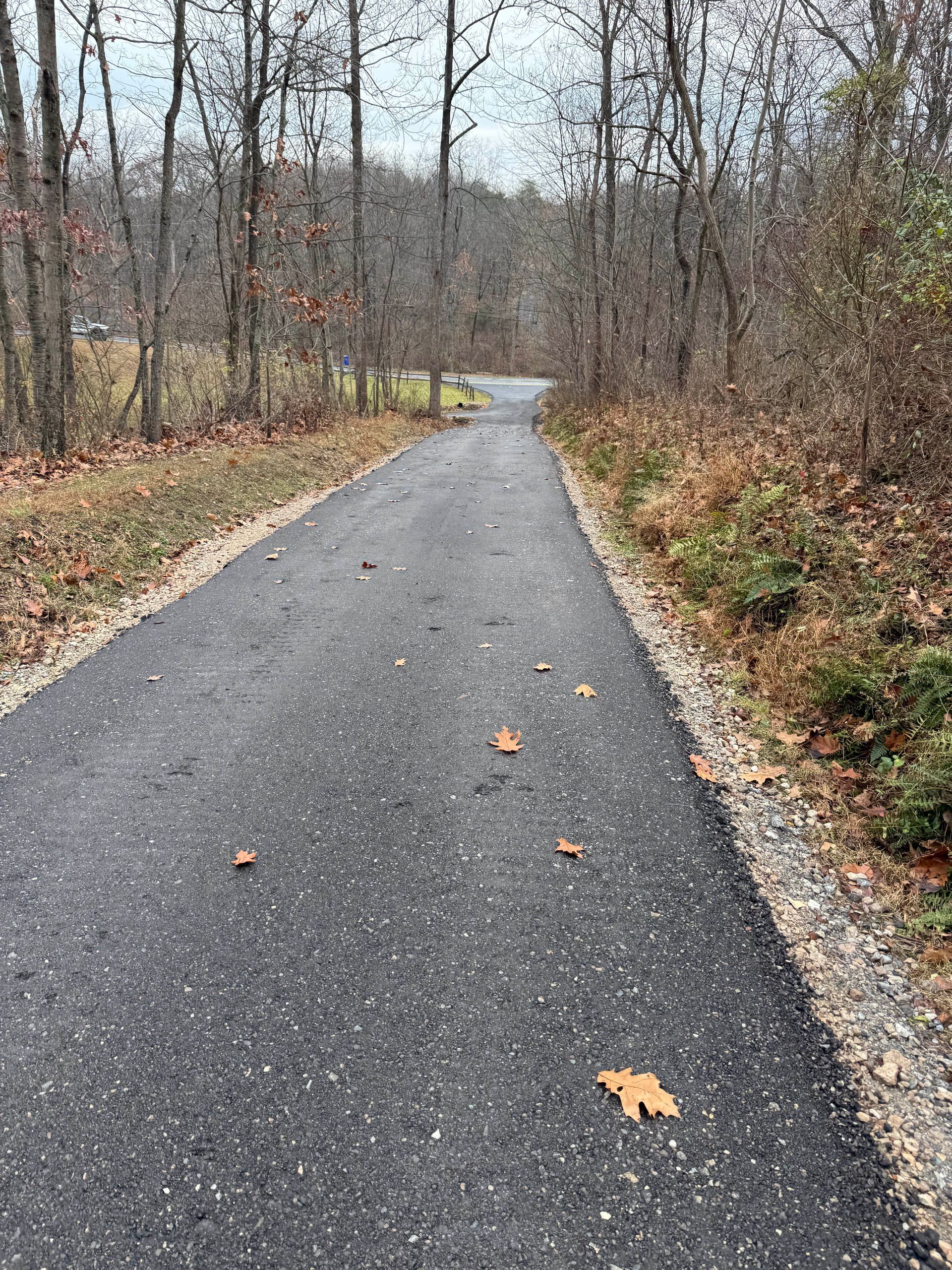 Paved path through a wooded area. Leaves on path, trees on either side. Overcast sky.