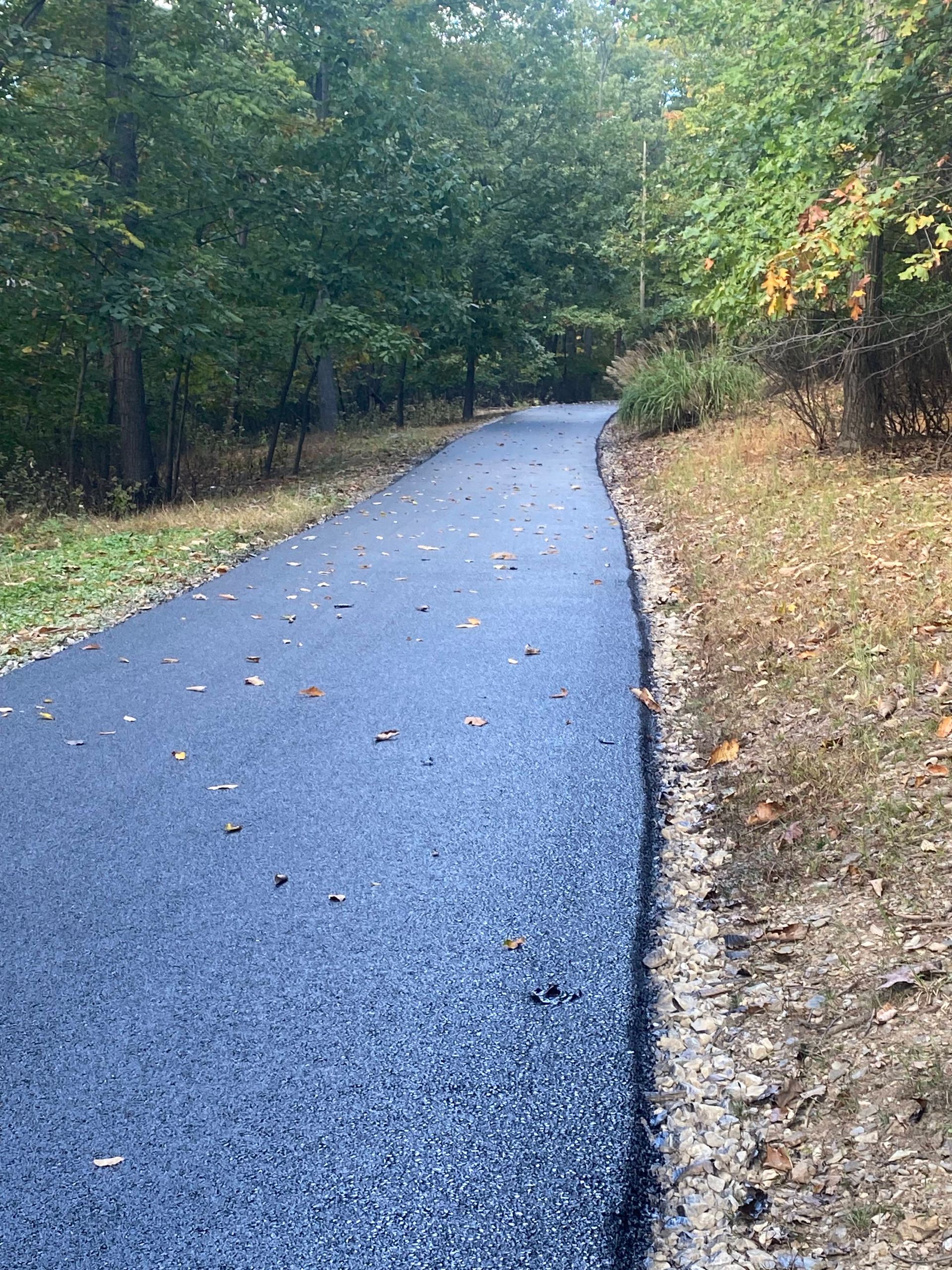 Paved pathway winding through a wooded area with trees on either side.