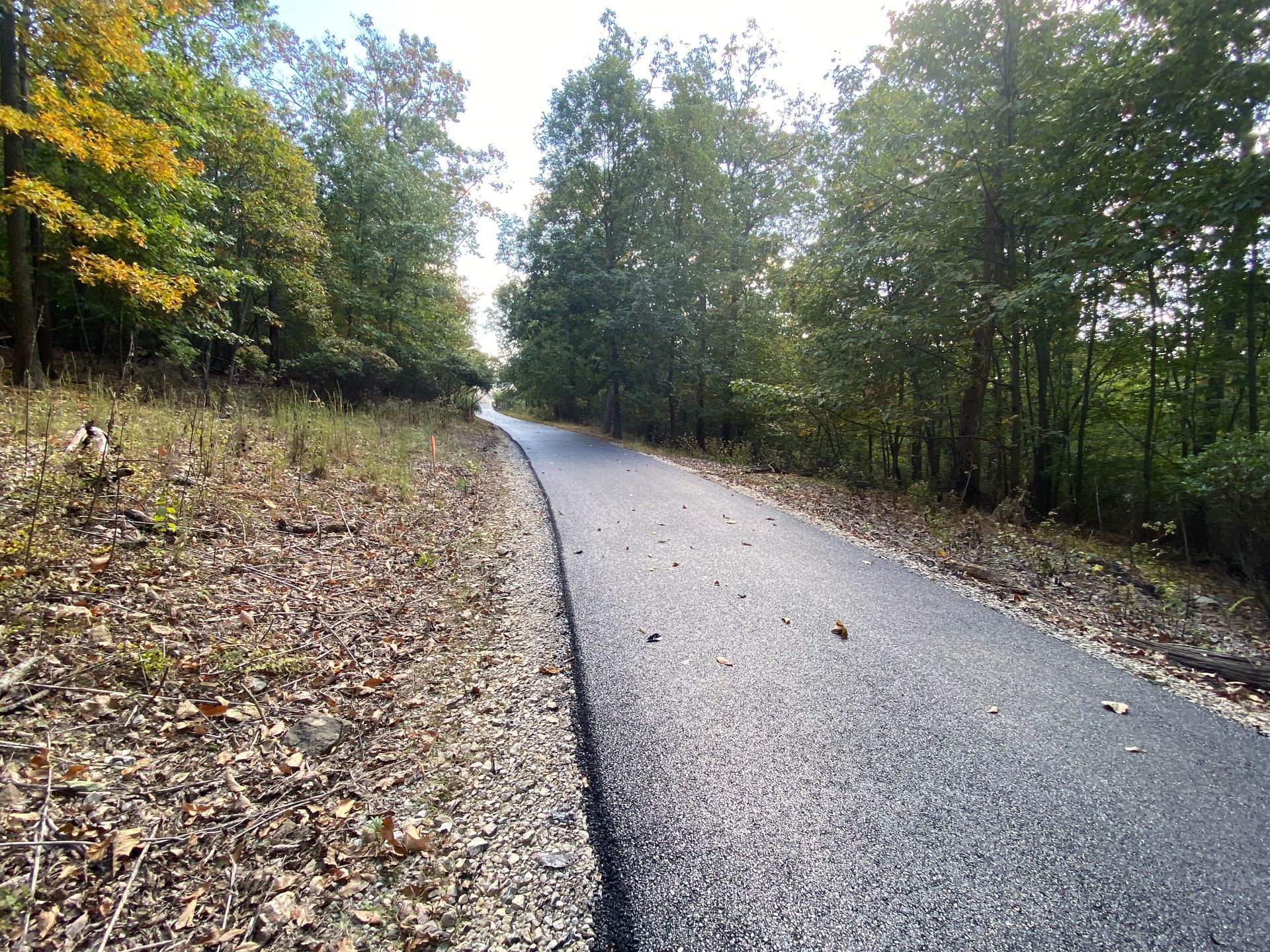 Asphalt path through a wooded area with trees and fall foliage.