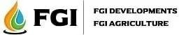 FGI
