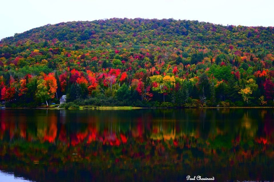 Discover Lunenburg Vermont Photo Gallery