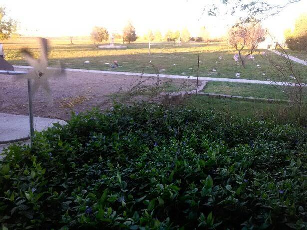 Pet burial Service Gallery