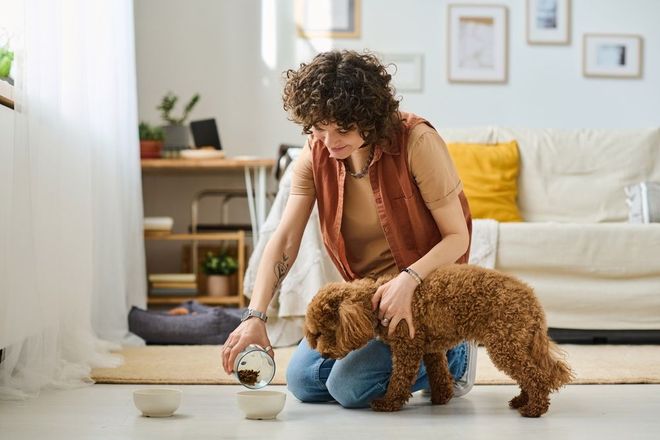 A woman is feeding a dog from a bowl in a living room.
