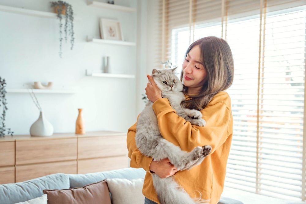 A woman is holding a cat in her arms in a living room.