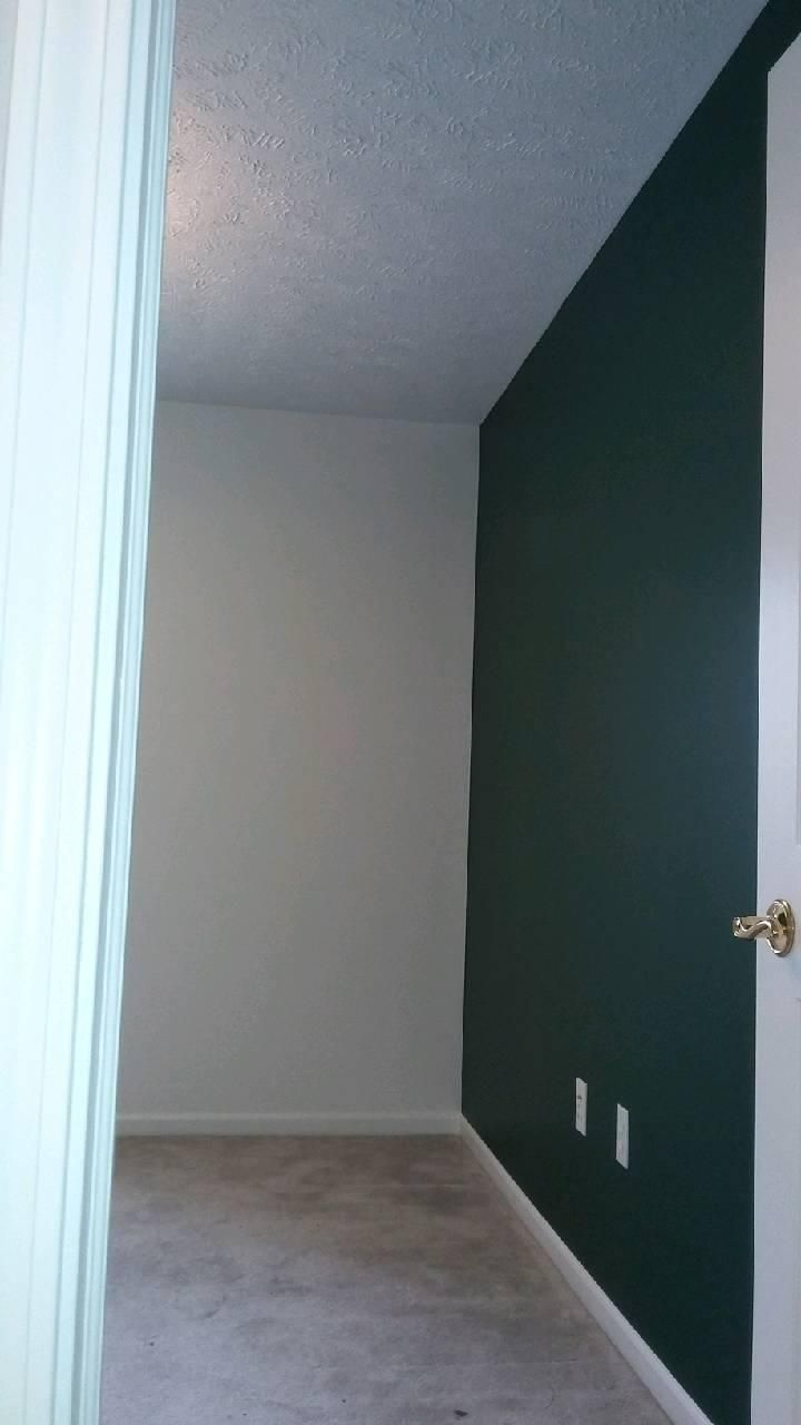 Empty room with one dark green wall, beige carpet, and white doorframe.
