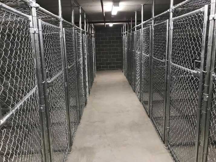 chain link fencing