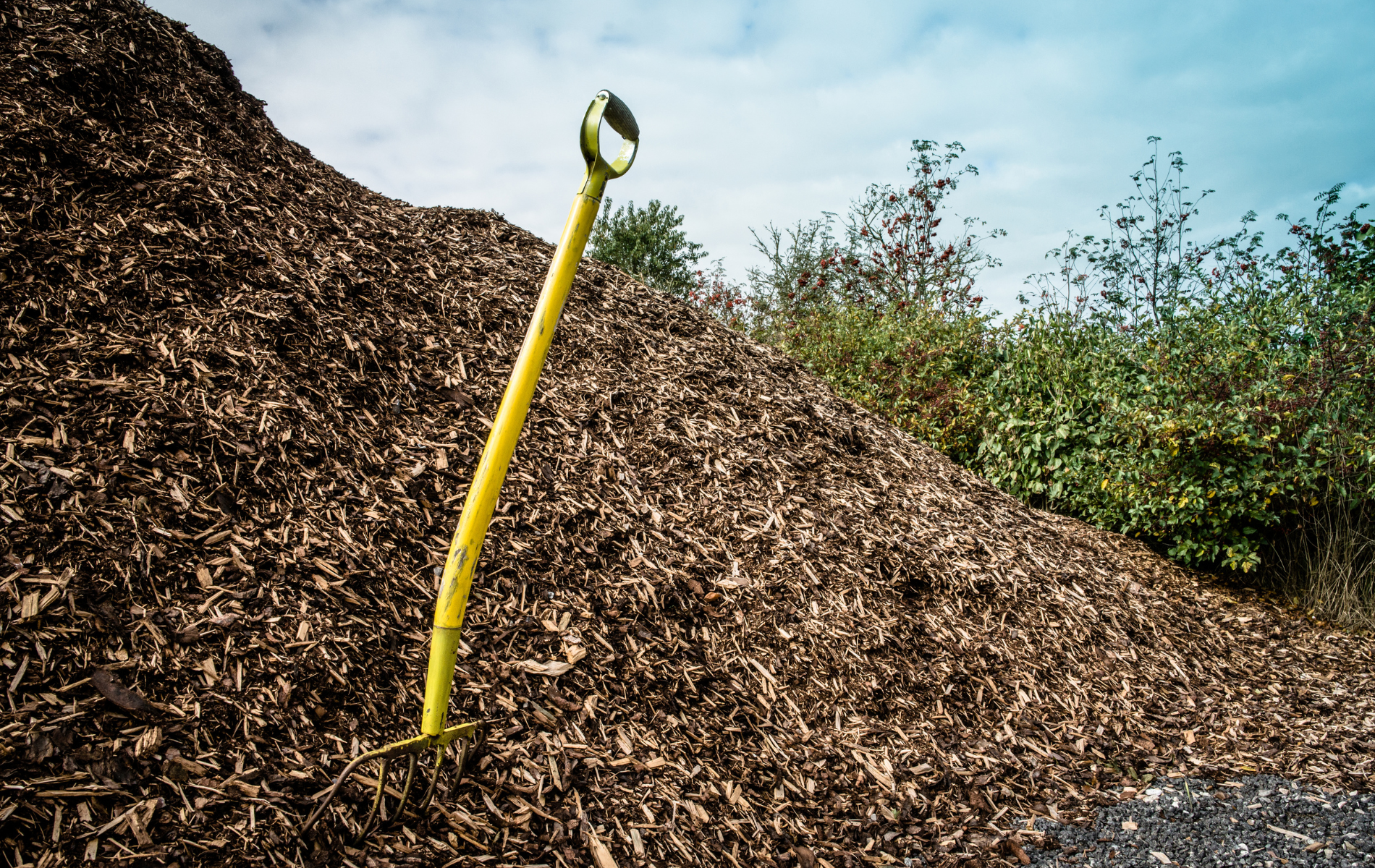 A yellow shovel is sitting in front of a pile of wood chips.