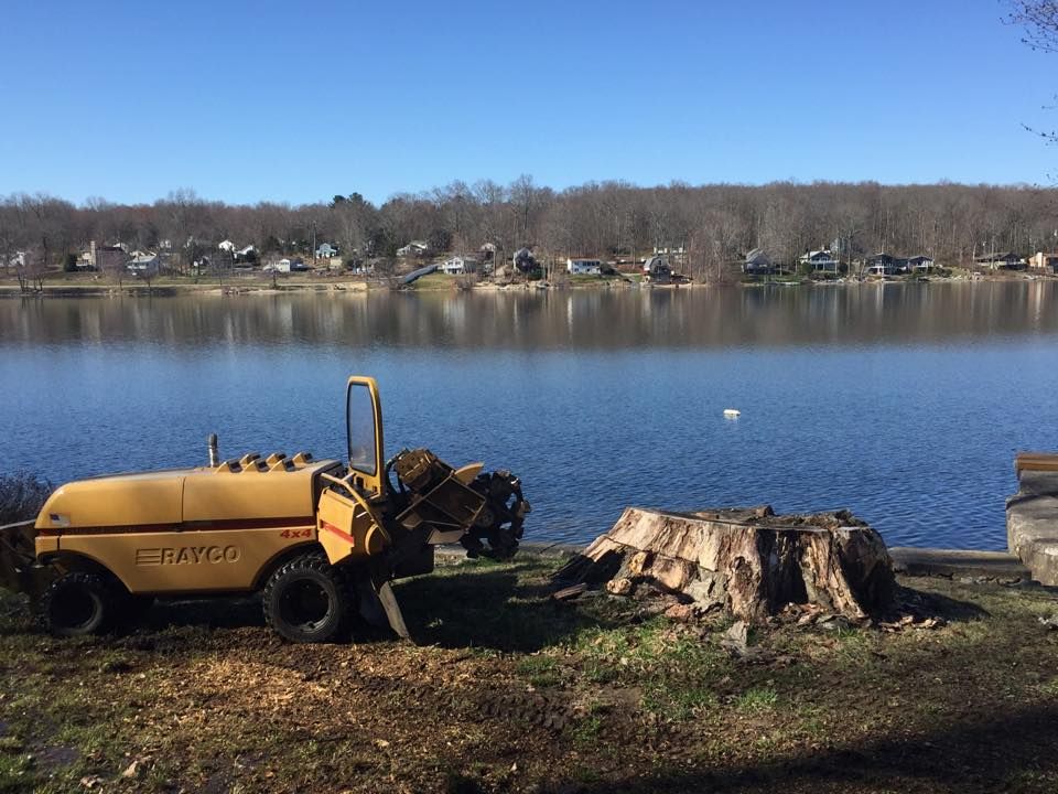 A yellow Rayco stump grinder positioned on the shore next to a large tree stump, with a lake and houses in the background.