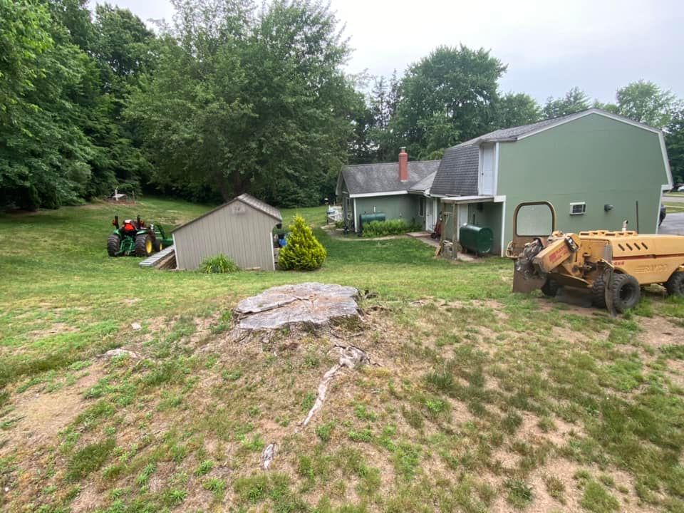 A green house and shed stand on a grassy lot, with a tractor and a yellow piece of construction equipment nearby.