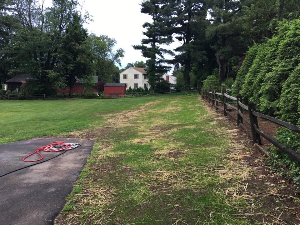 A grassy yard with a wooden fence on the right, a paved edge on the left, and a house in the distant background.