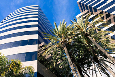 Seashore Pest Control - Commercial Services
