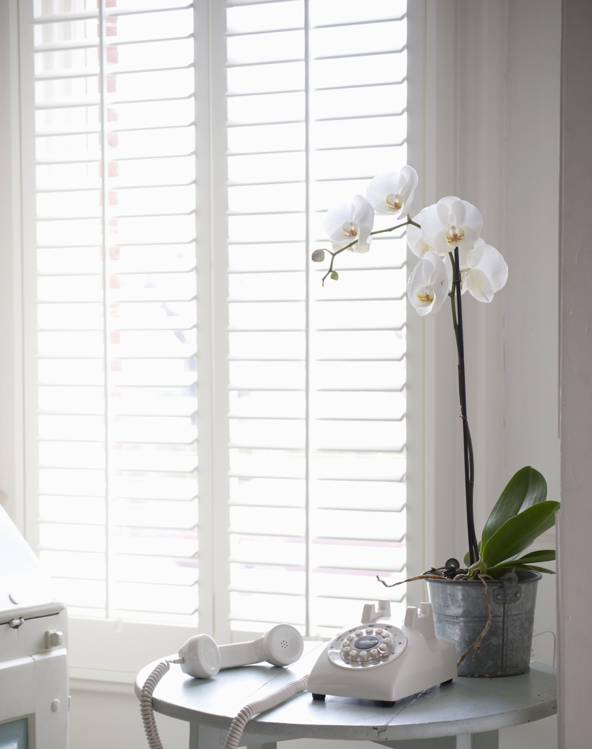 Window with open white Plantation Shutters, in front of small table with telephone off the hook and white flower in metal pot.