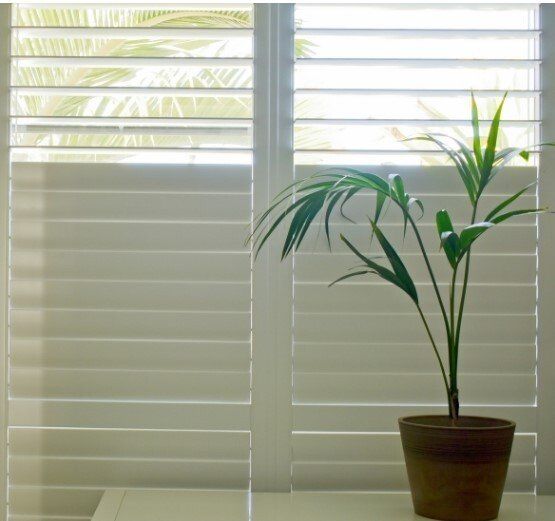 White plantation shutters, opened at top, with green potted plant on bench in front.