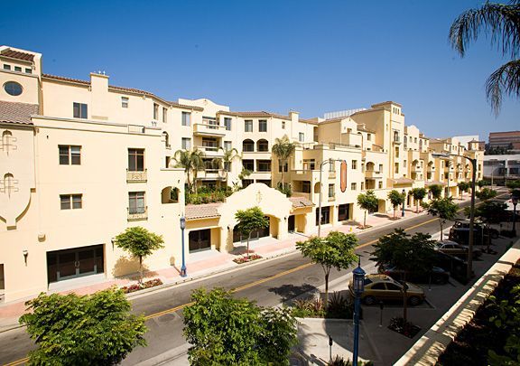Buildings with shops along a street, palm trees, and parked cars under a bright blue sky.