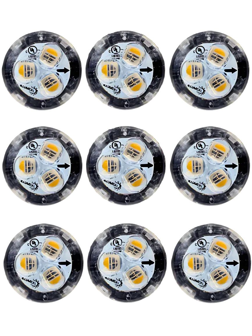 String of six clear LED pixel lights on black wire, with a connector.