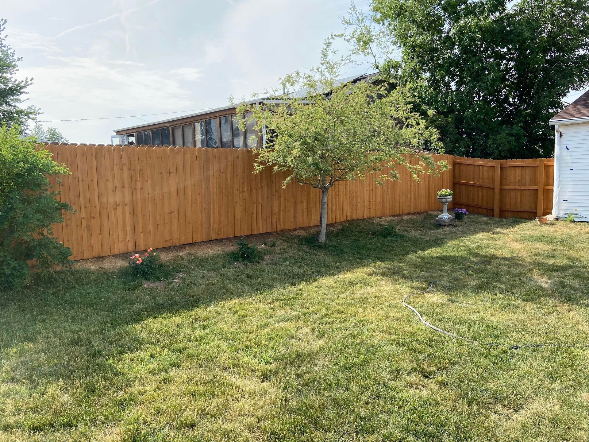 A backyard with a wooden fence and a white shed.