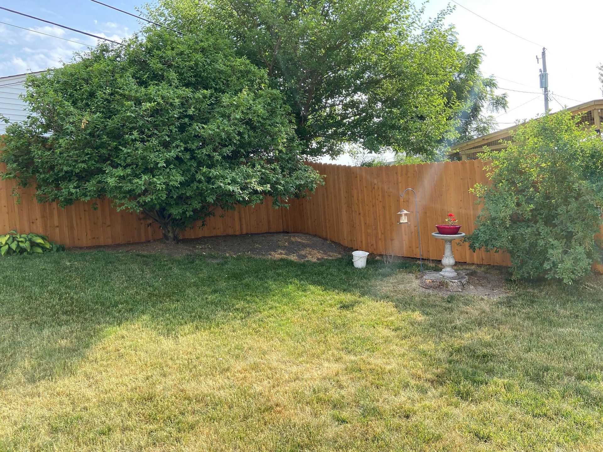 A backyard with a wooden fence and a bird bath.