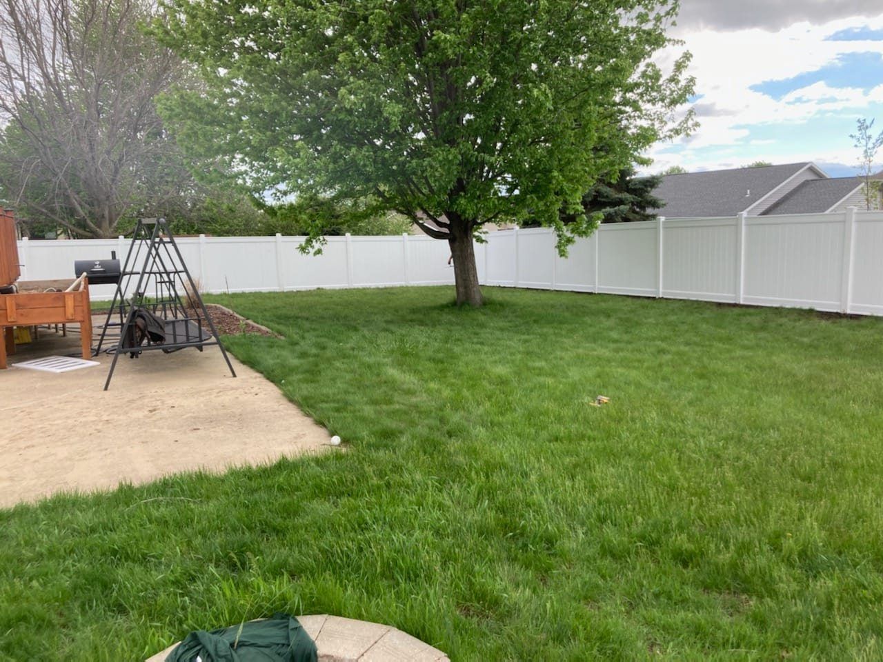 A backyard with a white fence and a tree.