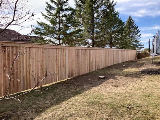 A wooden fence is surrounded by trees in a backyard.