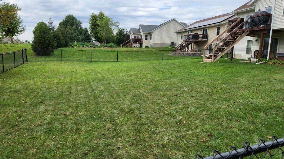 A large lawn with a chain link fence in front of a house.