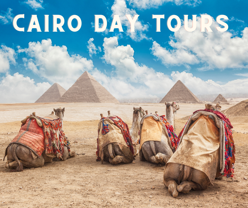 Day Tours cairo