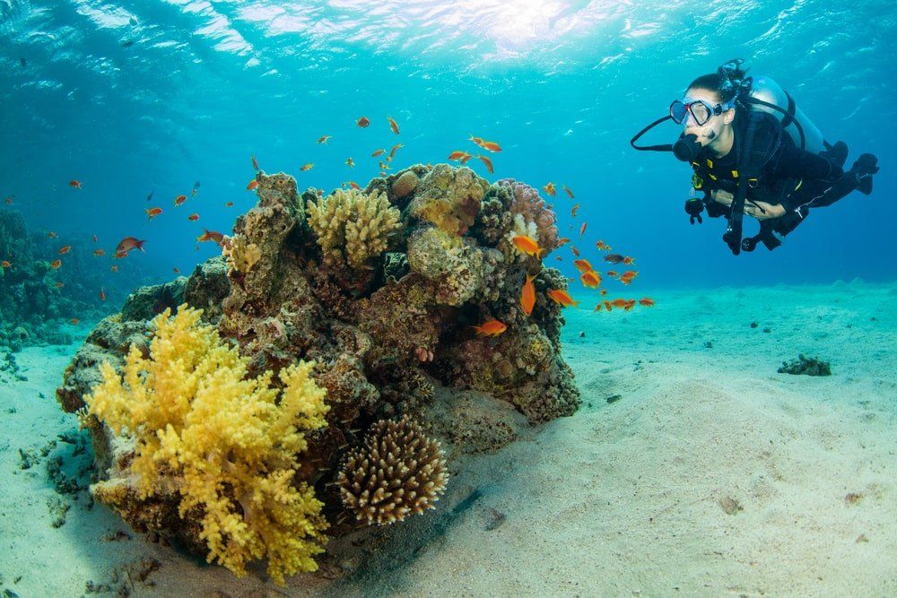 Underwater coral reef with woman scuba diver