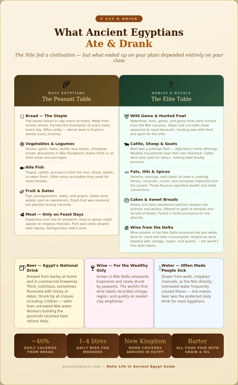 Infographic comparing the ancient Egyptian peasant diet of bread, beer, vegetables, and fish versus the elite diet of hunted game, cattle, wine and honey cake,s with facts about beer as the national drink