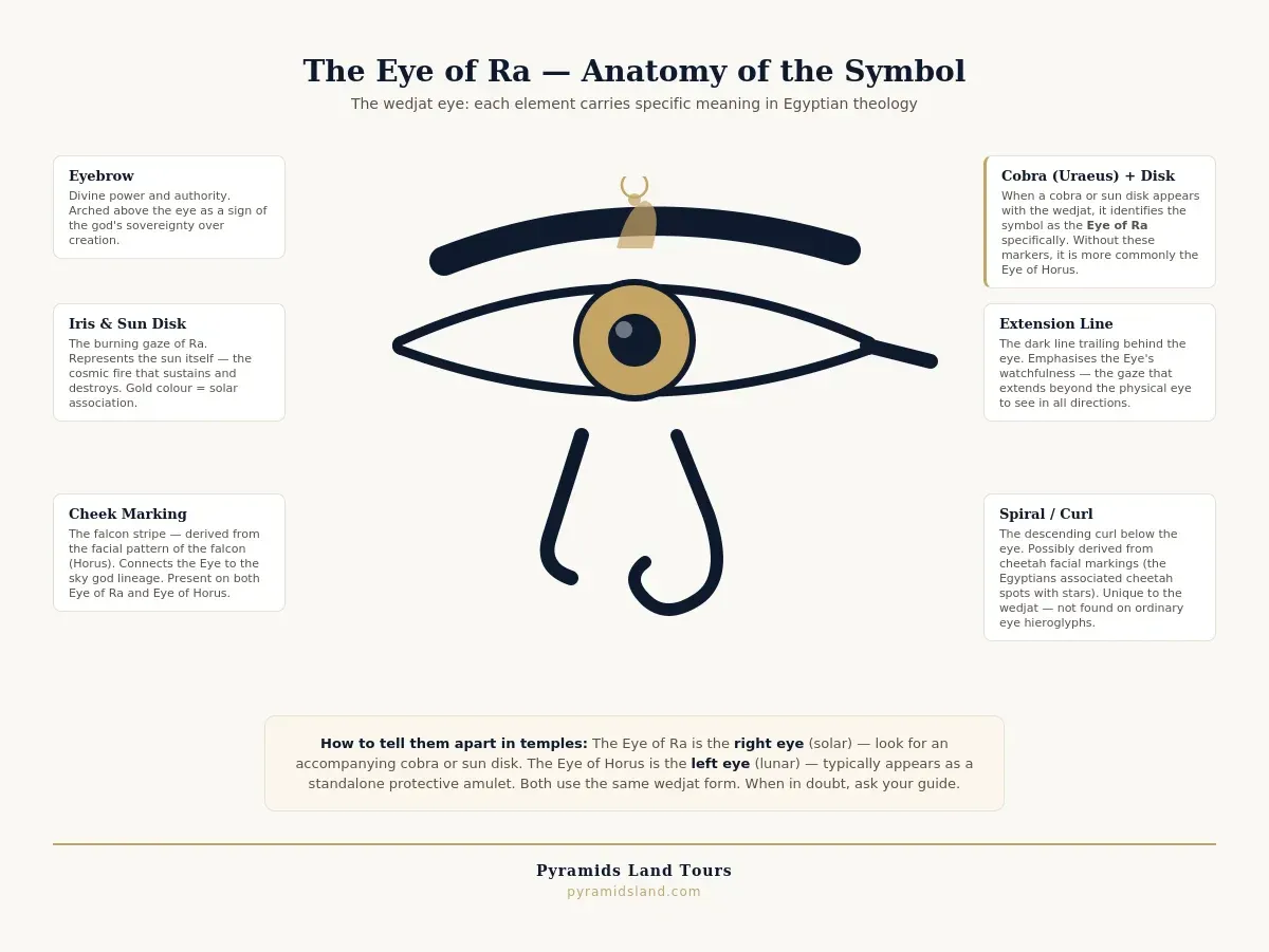 Labelled diagram of the Eye of Ra wedjat symbol showing the eyebrow, gold iris representing the sun, pupil, falcon cheek marking, trailing extension line, descending spiral, and the cobra uraeus with sun disk