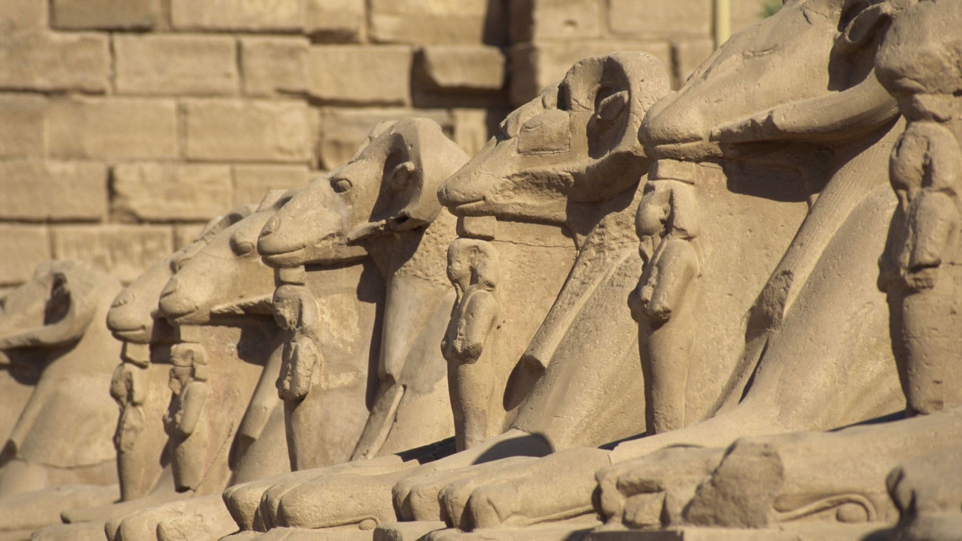 Ram headed sphinxes in Luxor