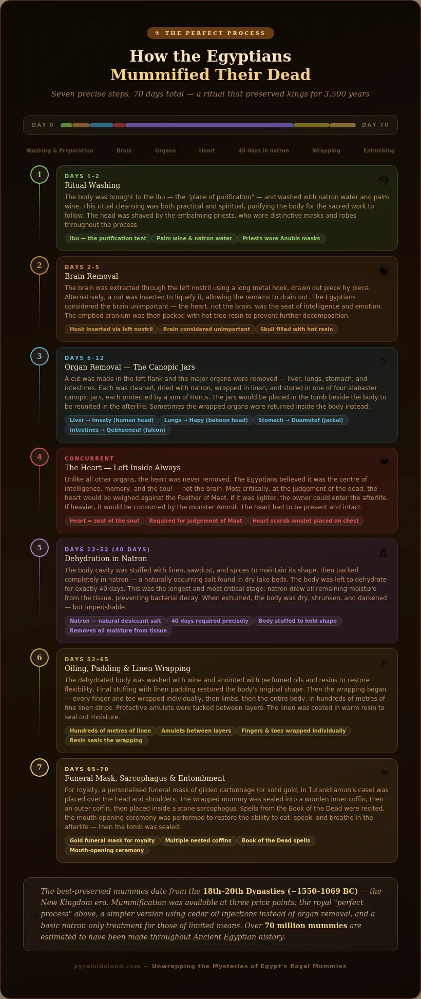 Step-by-step infographic showing the 7-stage ancient Egyptian mummification process over 70 days, covering ritual washing, brain removal via nostril, organ extraction into canopic jars, heart left inside for the judgement of Maat, 40-day dehydration in natron, linen wrapping with amulets, and entombment in a sarcophagus with a gold funeral mask