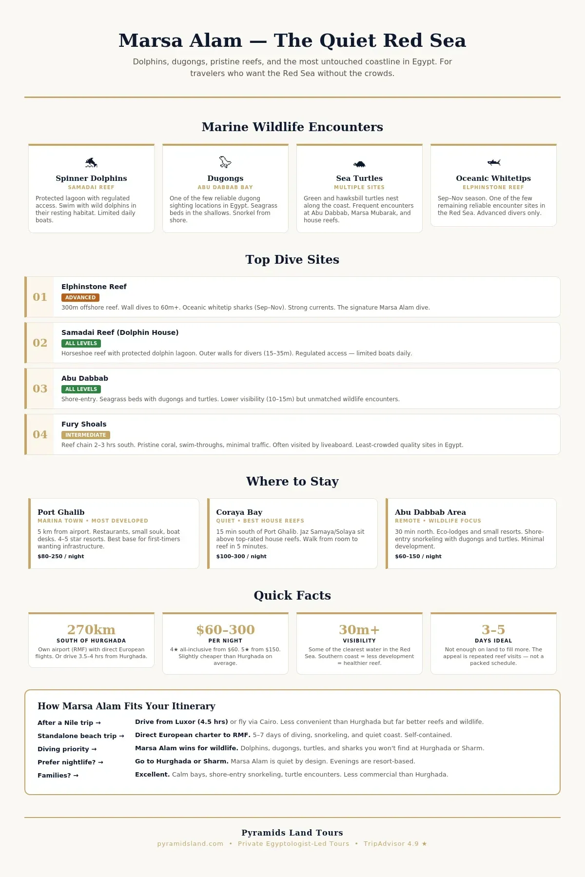 Marsa Alam visitor infographic showing four marine wildlife encounters with locations (spinner dolphins at Samadai Reef, dugongs at Abu Dabbab Bay, sea turtles at multiple sites, oceanic whitetip sharks at Elphinstone Reef), four top dive sites with colour-coded difficulty levels from all levels to advanced, three stay areas with prices (Port Ghalib $80–250, Coraya Bay $100–300, Abu Dabbab $60–150), quick facts including 270km south of Hurghada and 30m+ underwater visibility, and a five-scenario itinerary fit guide comparing options for post-Nile trips, standalone holidays, diving priority, nightlife seekers, and families
