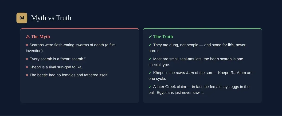Scarab myths vs truth: not flesh-eating, not all heart scarabs, Khepri not a rival to Ra, and the