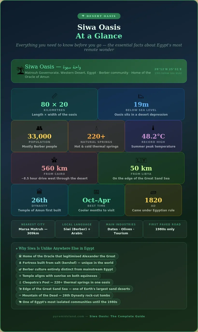 Siwa Oasis at a glance stats card showing key facts: 80 by 20 kilometre size, 19 metres below sea level, 33000 Berber population, 220 plus natural springs, 48.2 degree record high, 560 kilometres from Cairo, 50 kilometres from Libya, best visited October to April, and eight reasons why Siwa is unlike anywhere else in Egypt