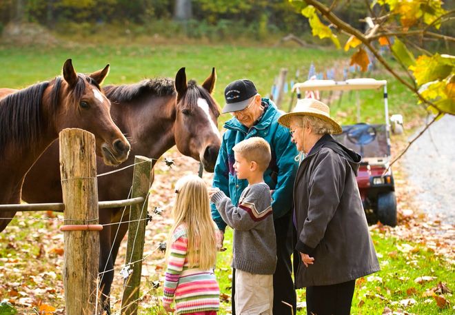 Home Health Care — Grandparents And Grandchildren With Two Horses In Sandy Spring, MD