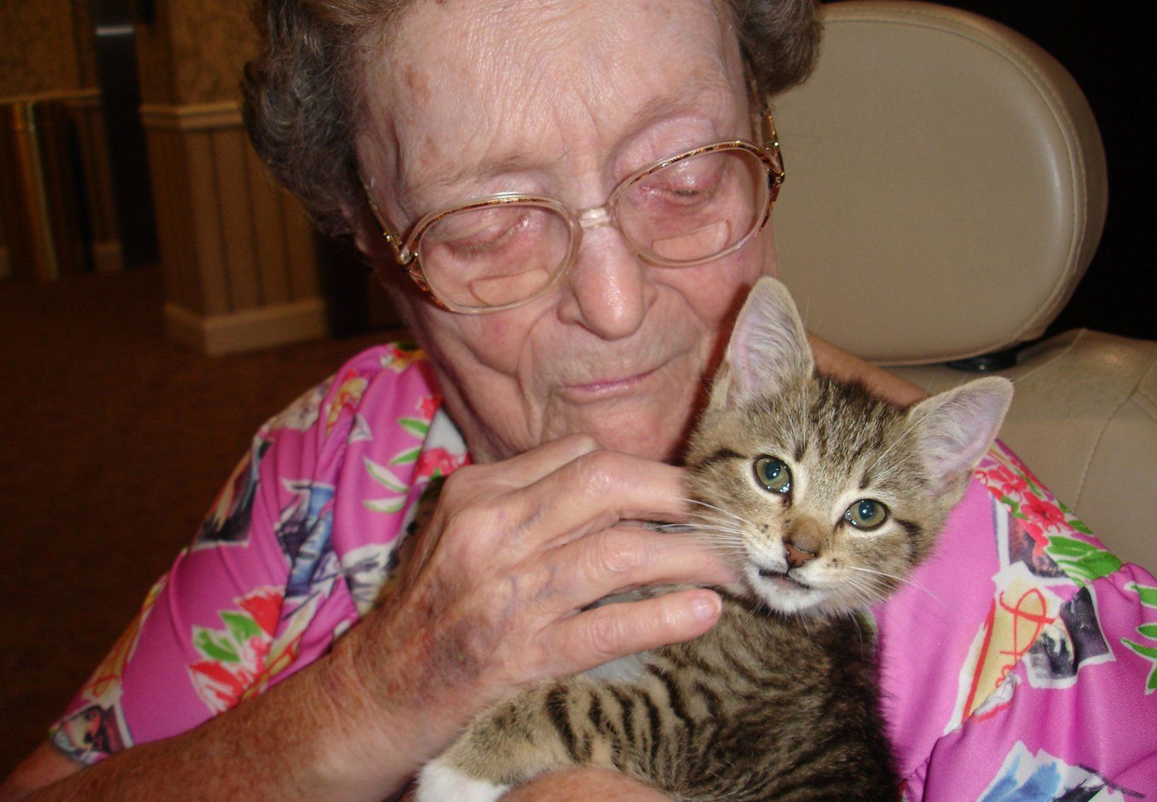 Disabled Care — Old Woman Holding A Cat In Spring, MD