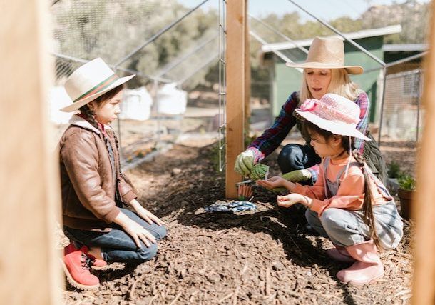 pexels-rdne-stock-project-7782158 (1) pexels-rdne-stock-project-7782158 (1)