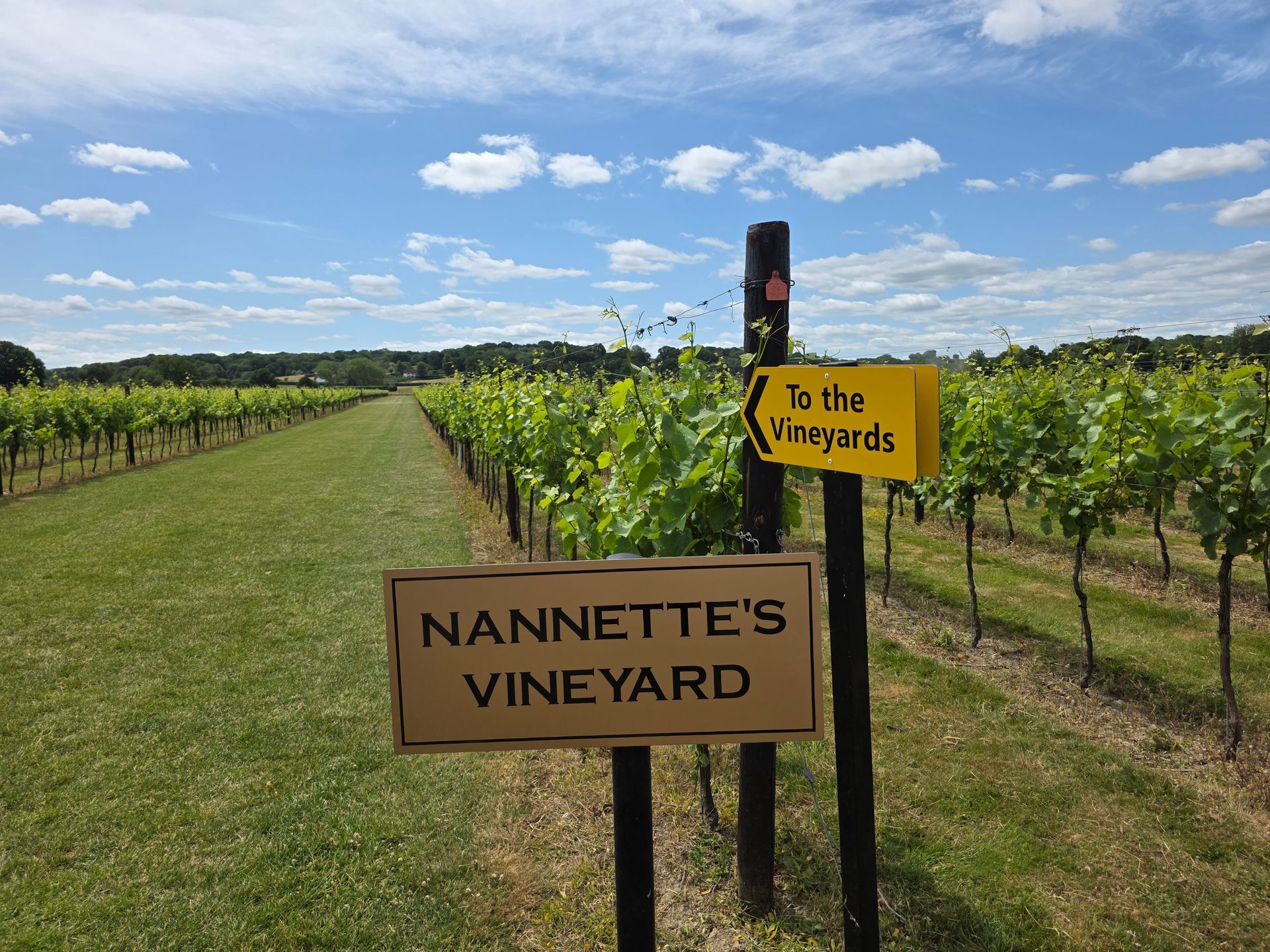 Sign for Nannette's Vineyard, pointing toward vineyards. Yellow sign reads