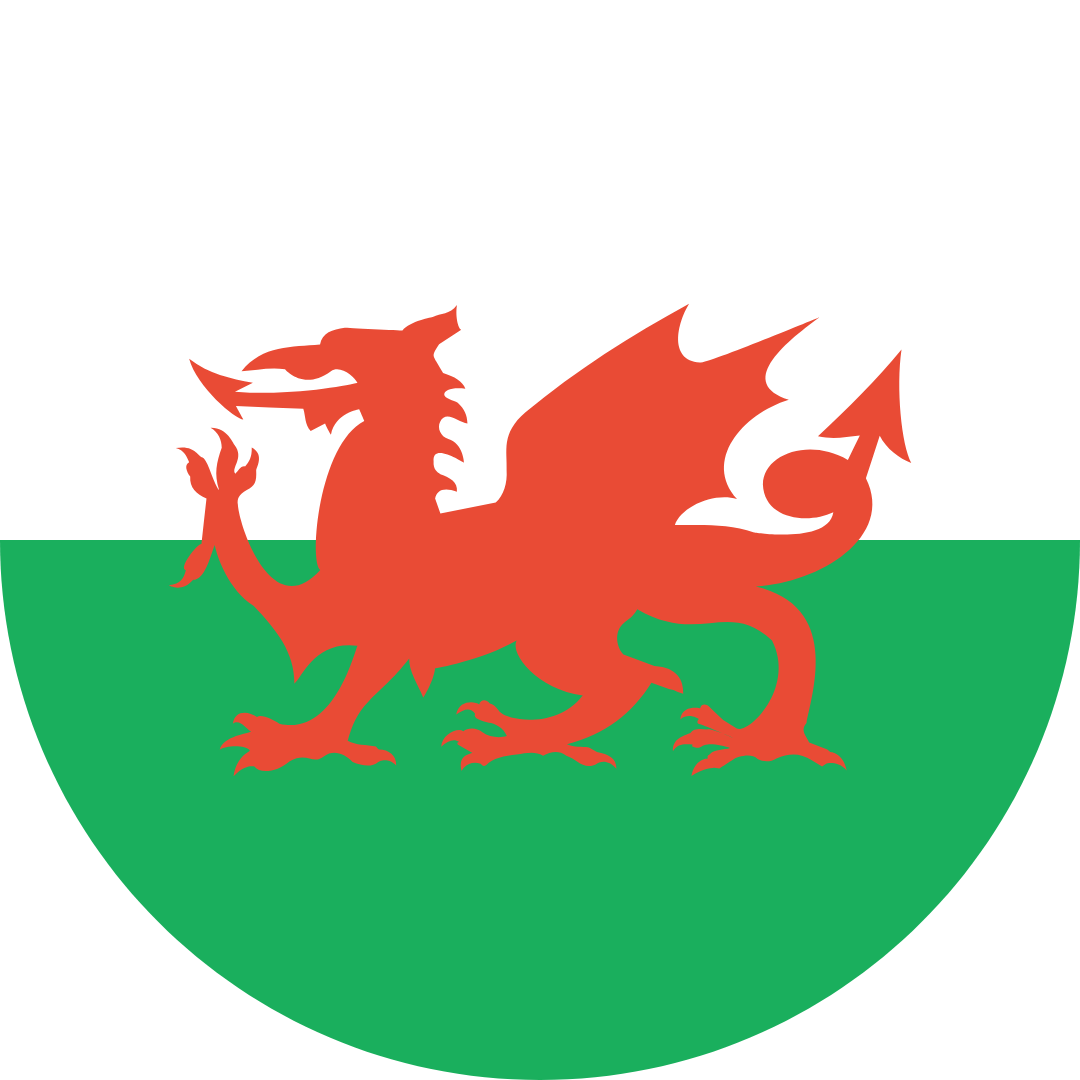 Red Welsh dragon on green and white background.