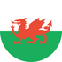 Red Welsh dragon on green and white background.