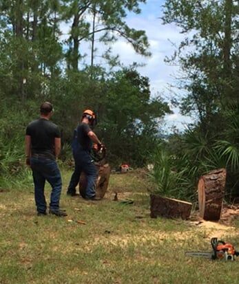 Man cut tree - Tree services in Crestview, FL