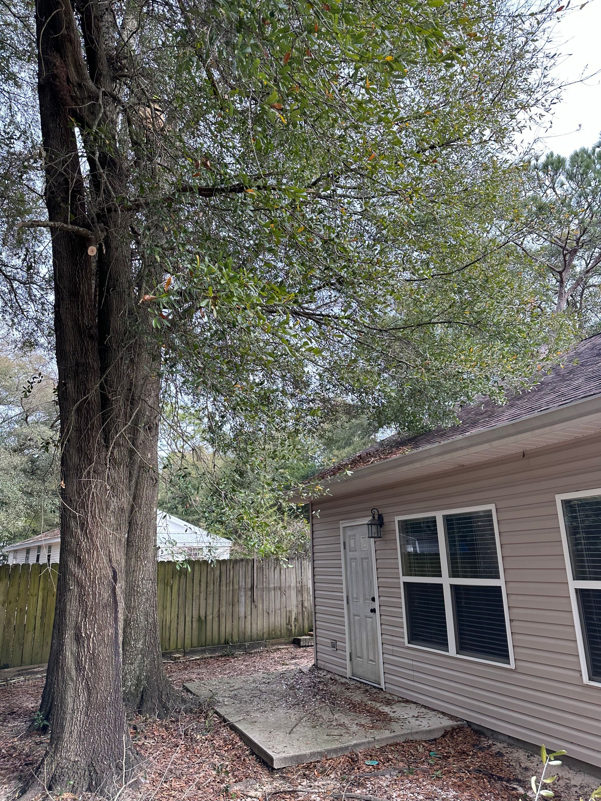 Tree Trimming Service - Crestview, FL - Diven Tree Services