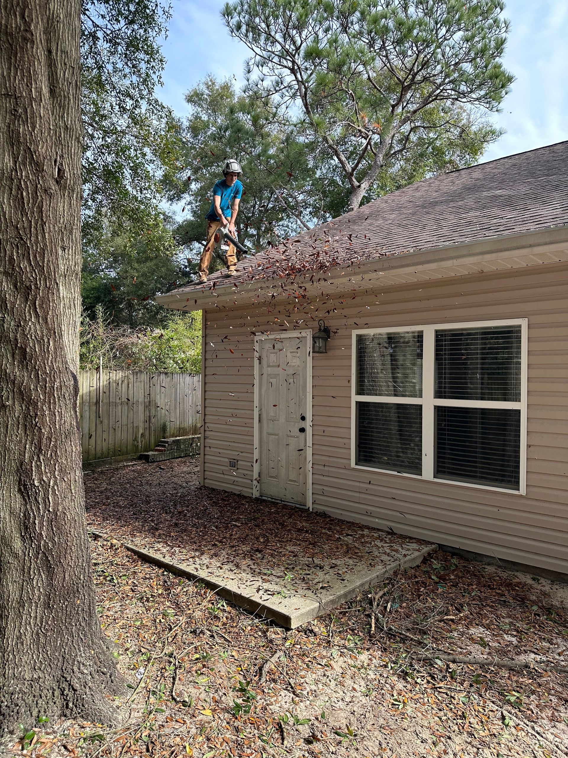 Cleaning Roof After Tree Trimming - Crestview, FL - Diven Tree Services