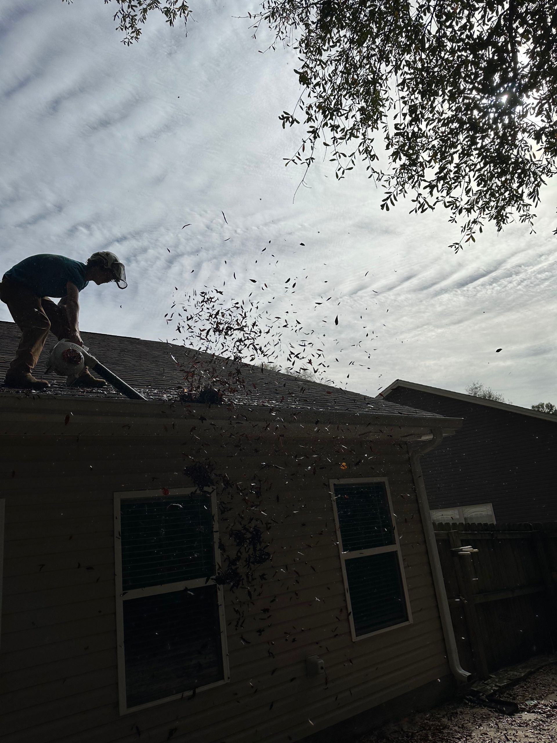 After Tree Trimming - Crestview, FL - Diven Tree Services