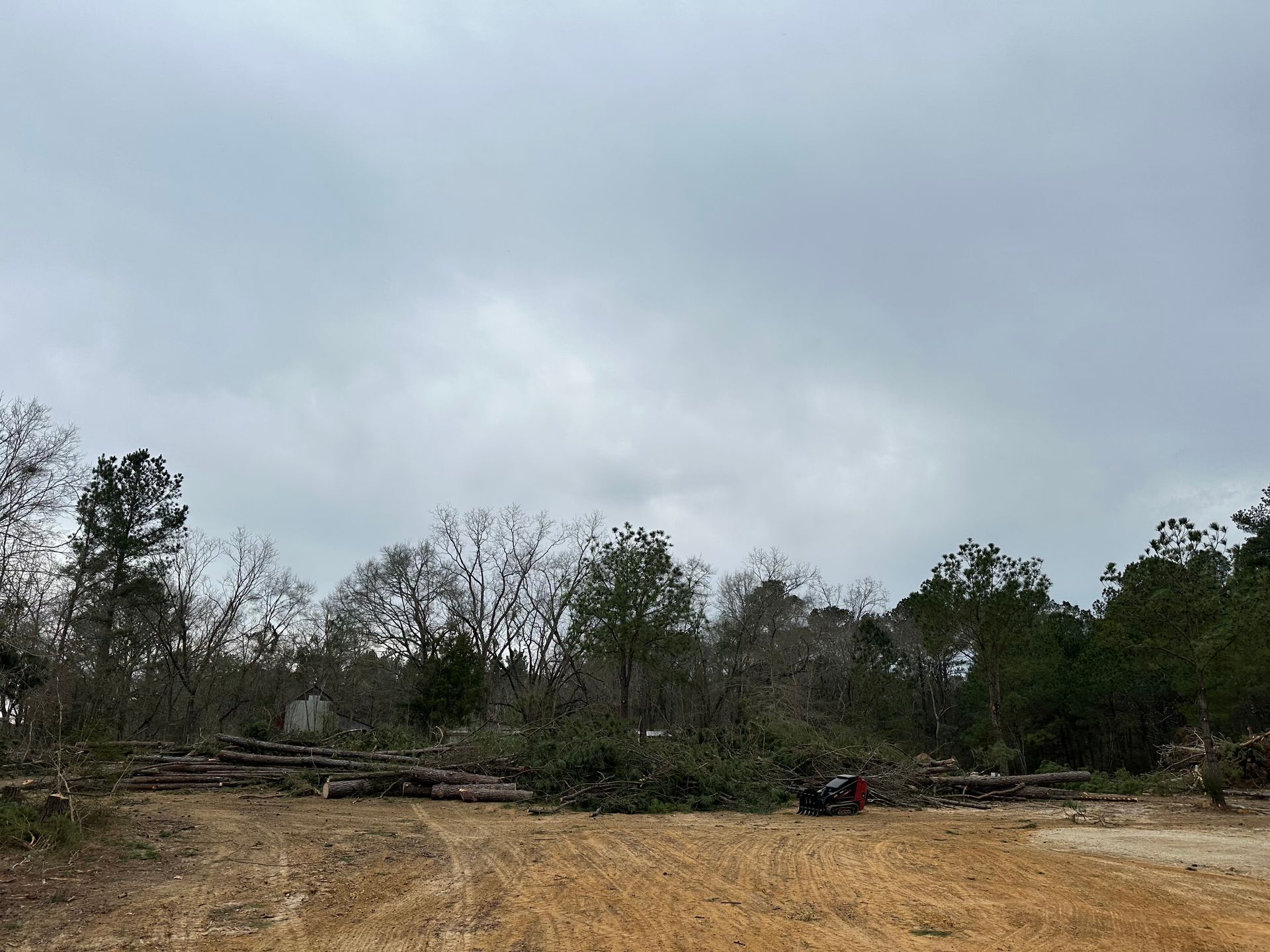 Professional Tree Service - Crestview, FL - Diven Tree Services
