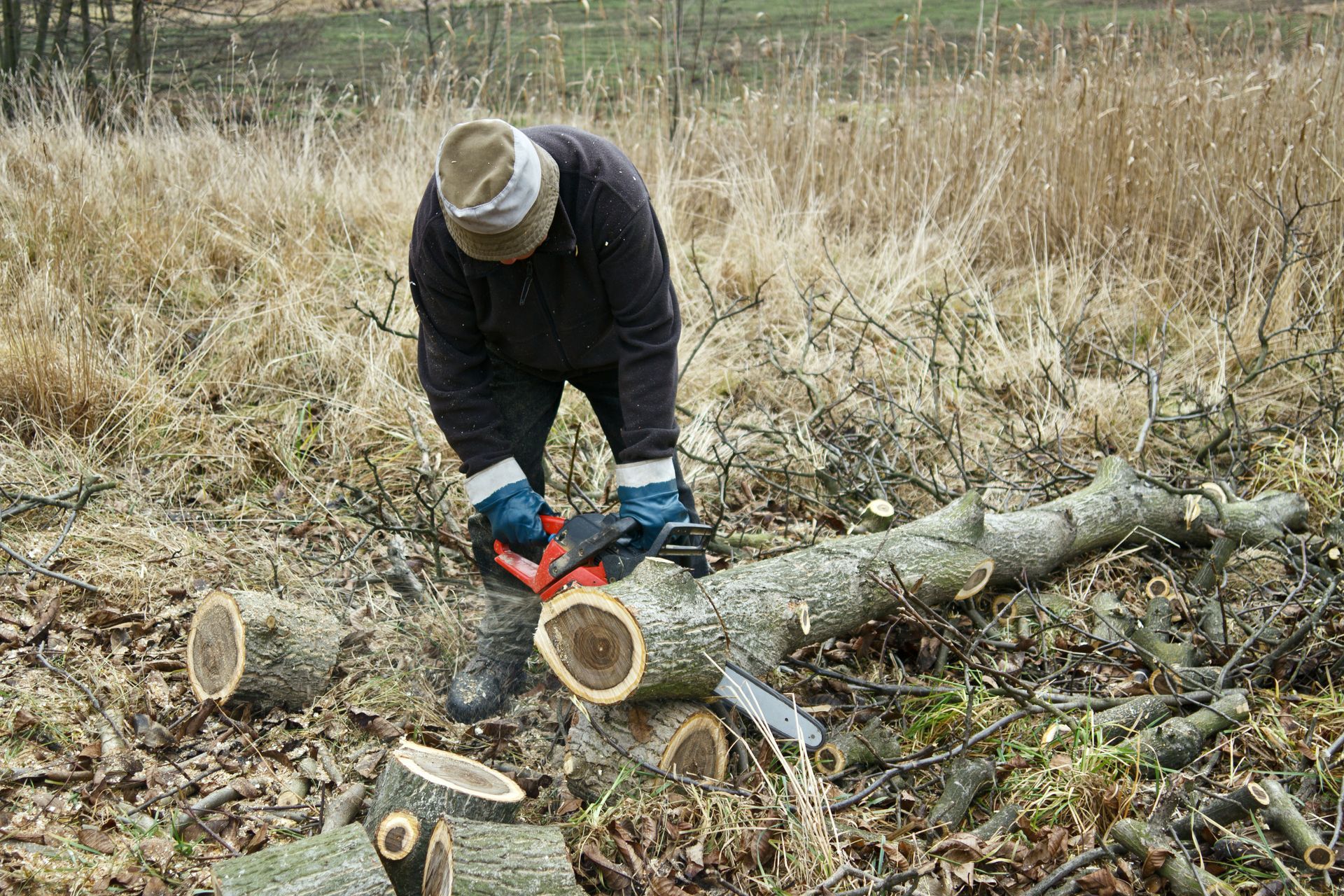 Man sawing the log of a fallen tree iin the wilderness.