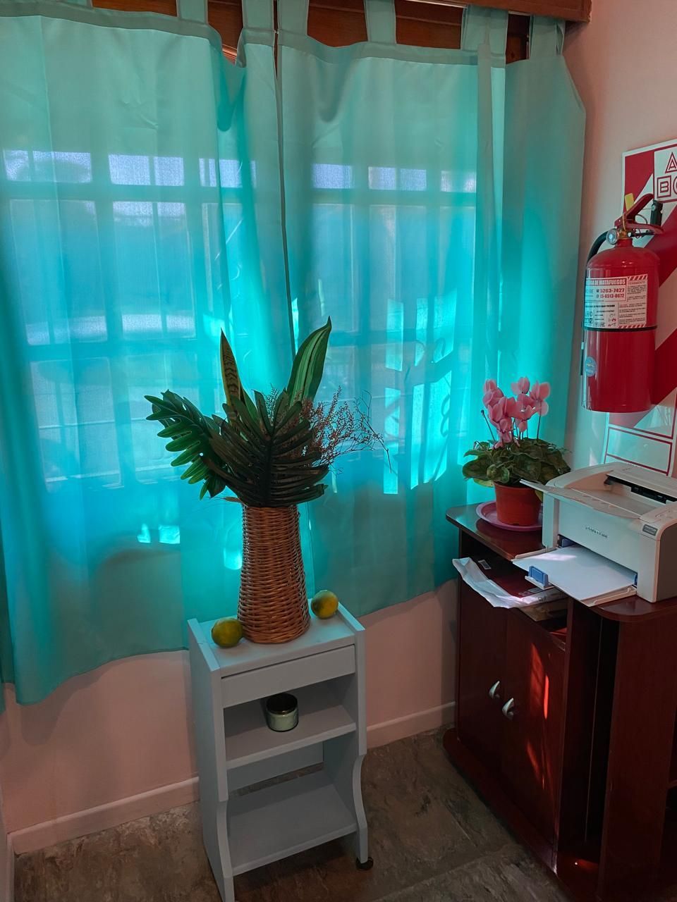 Rincón con cortinas azules, estantería blanca con arreglo floral y mueble rojo con impresora.
