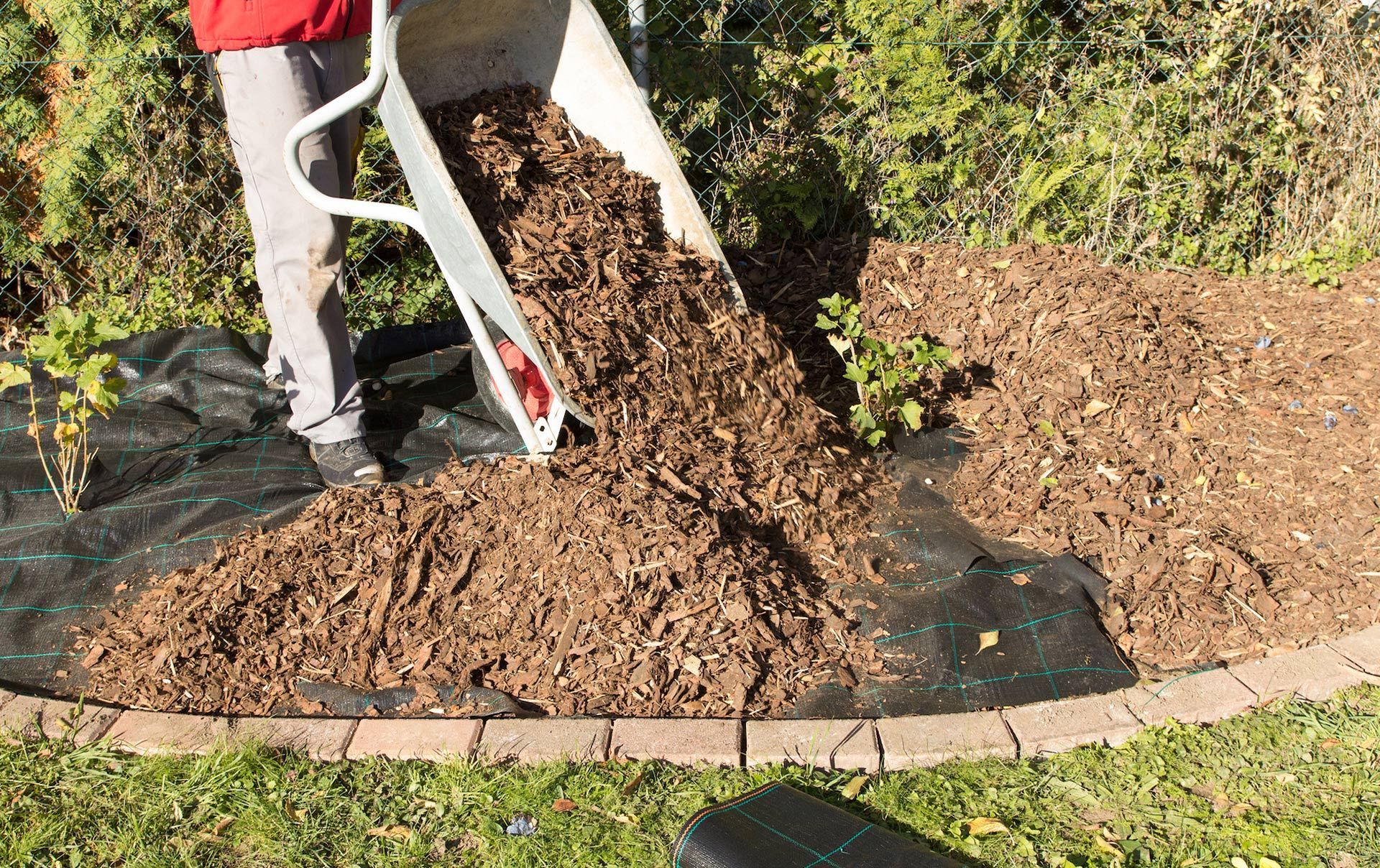 Person emptying a wheelbarrow of wood chips onto garden bed covered with landscaping fabric.