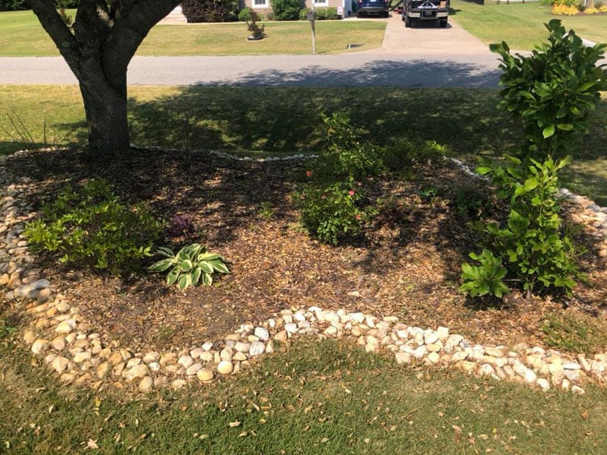 A landscaped garden bed with a tree, shrubs, and a rock border.