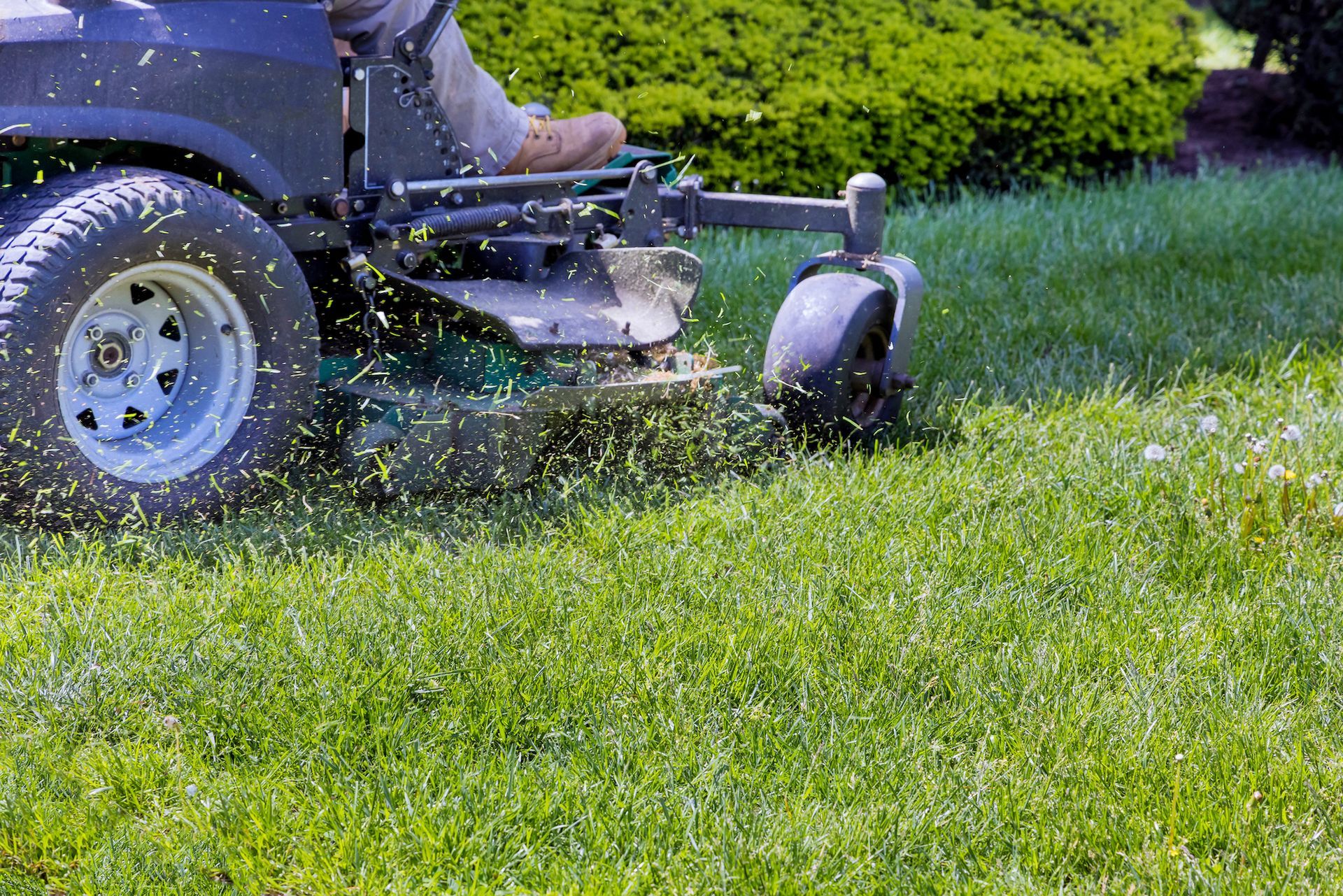 A person mowing a green lawn with a riding lawnmower, grass clippings flying.