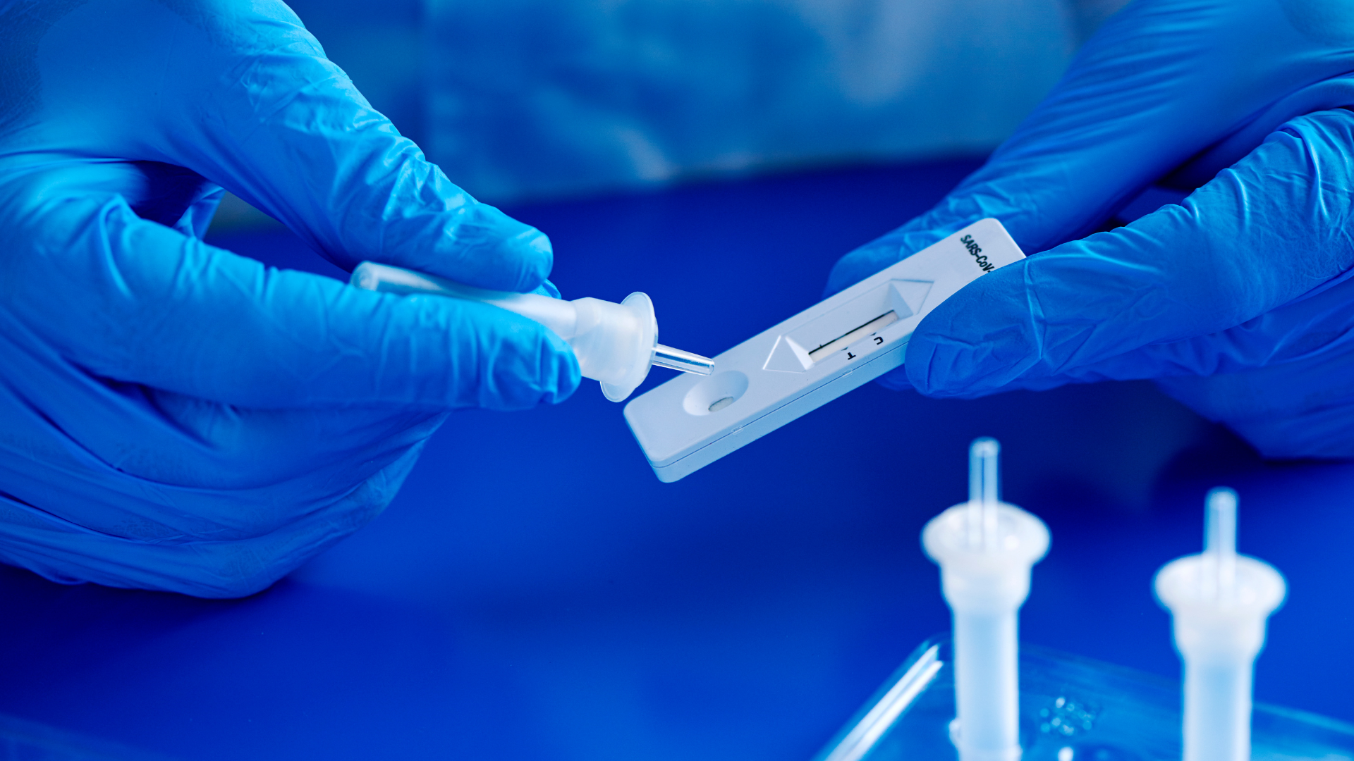 A person wearing blue gloves is holding a test kit.